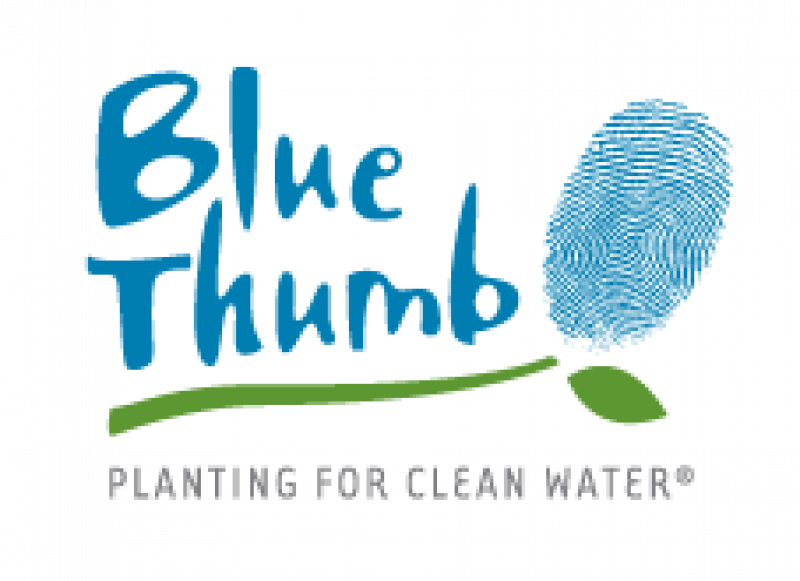 blue thumb logo