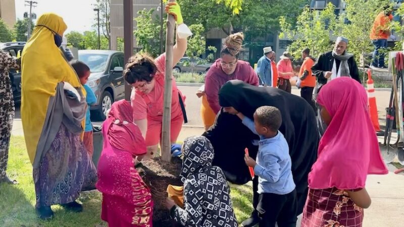 women and children enjoying planting a tree together
