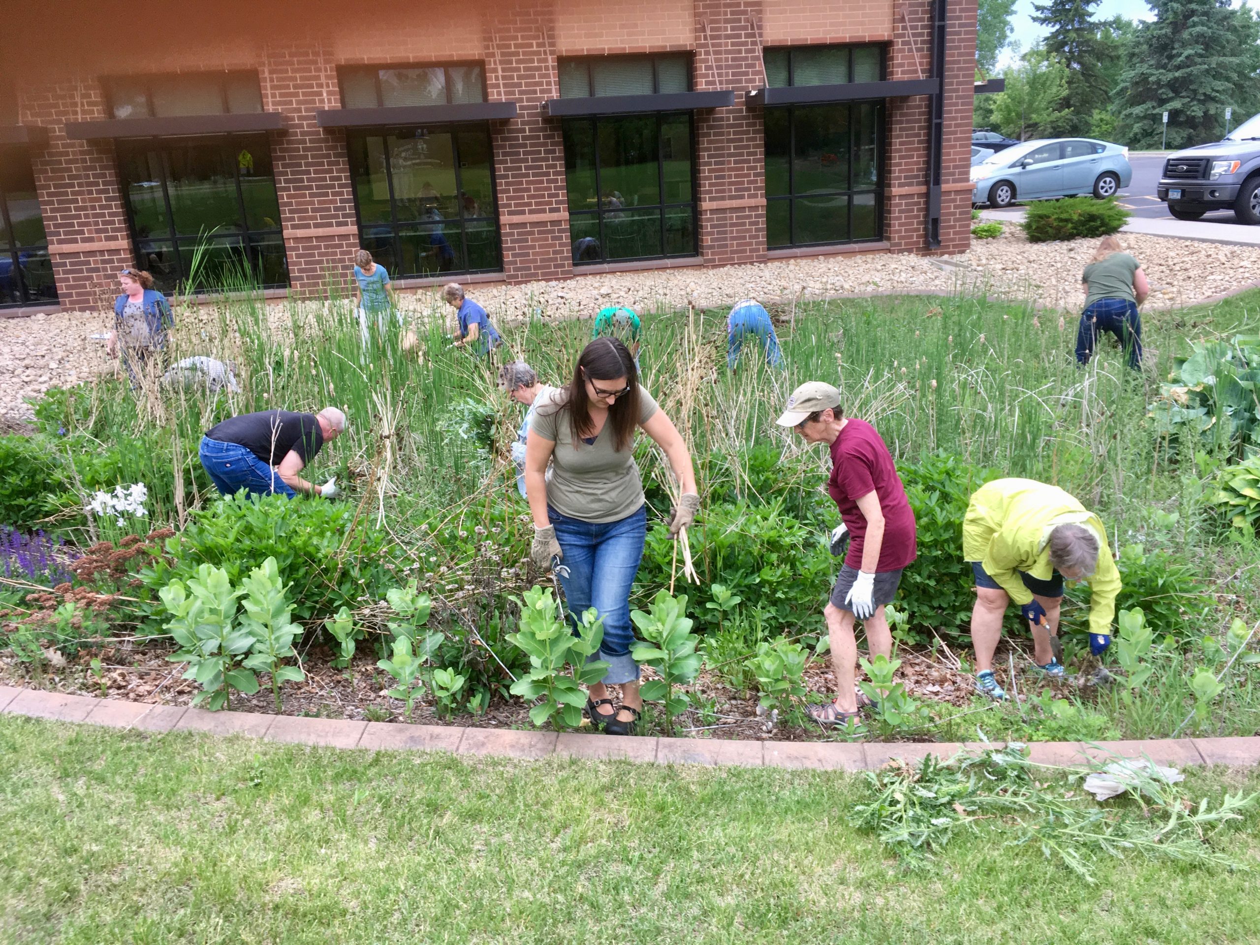 Raingarden Maintenance Made Easier: Good Timing and Tools | Metro Blooms