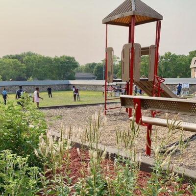 new play structure and recently planted native plants with people in background