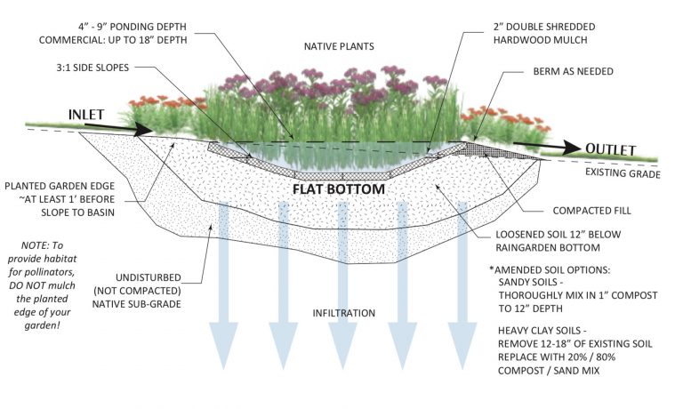 A Decade of Neighborhood of Raingardens | Metro Blooms