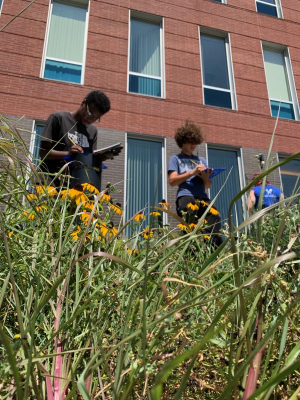 Two young people holding clipboards among native plants