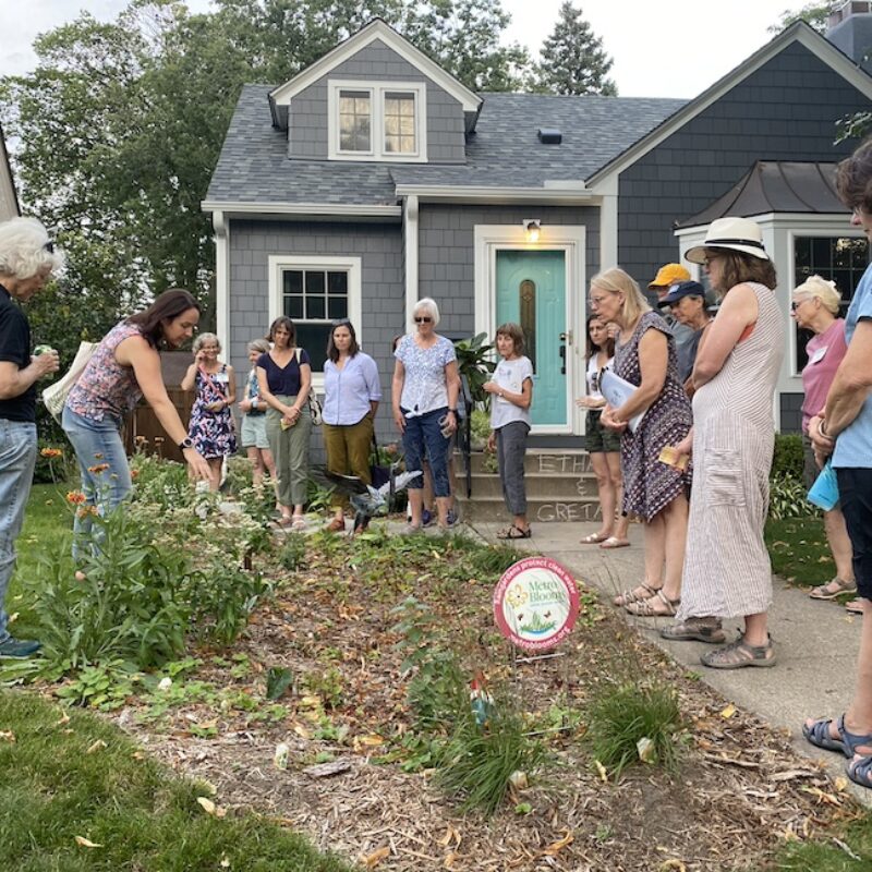 Lynnhurst Yards and Gardens for Clean Water