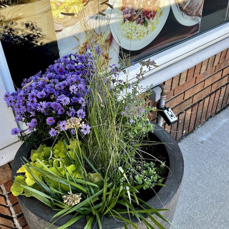 native flower planter in front of restaurant