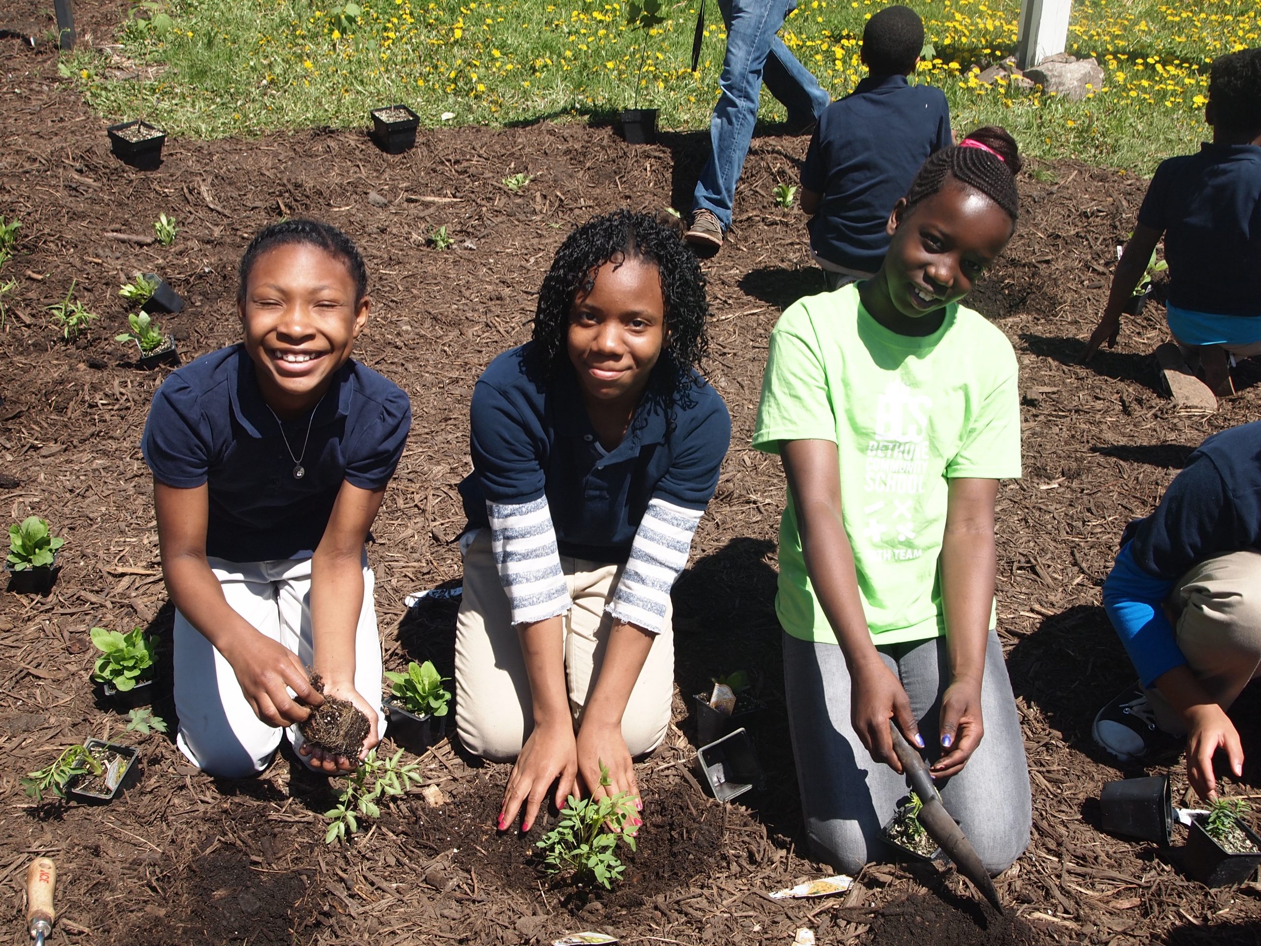 Bethune Community School Metro Blooms