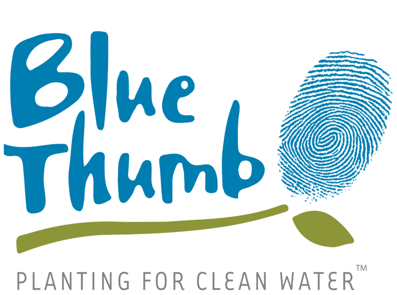 blue thumb logo