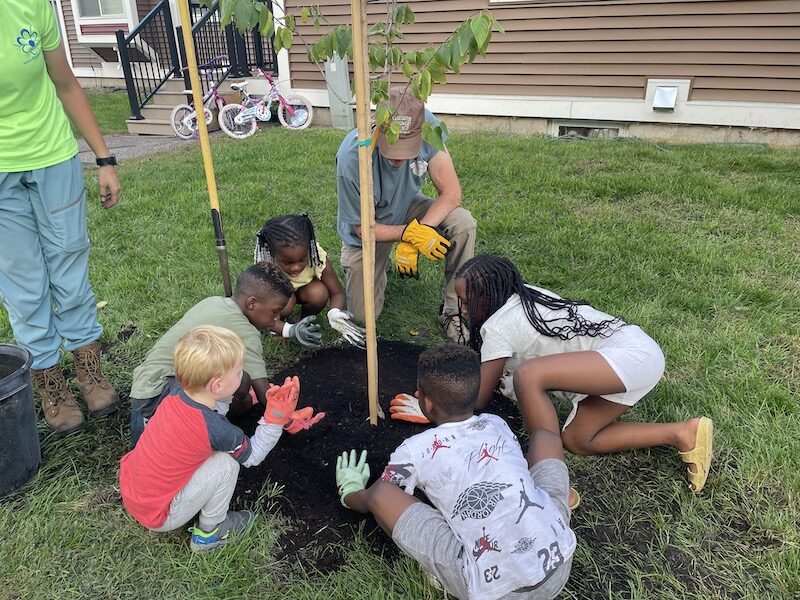 kids planting tree