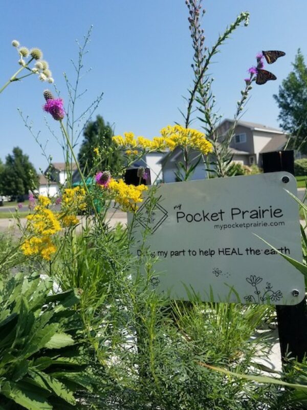 Sign that says Pocket Prairie, Doing My Part to Help Heal the earth in front of native flower garden