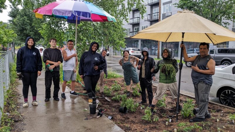 People standing under umbrellas in the rain