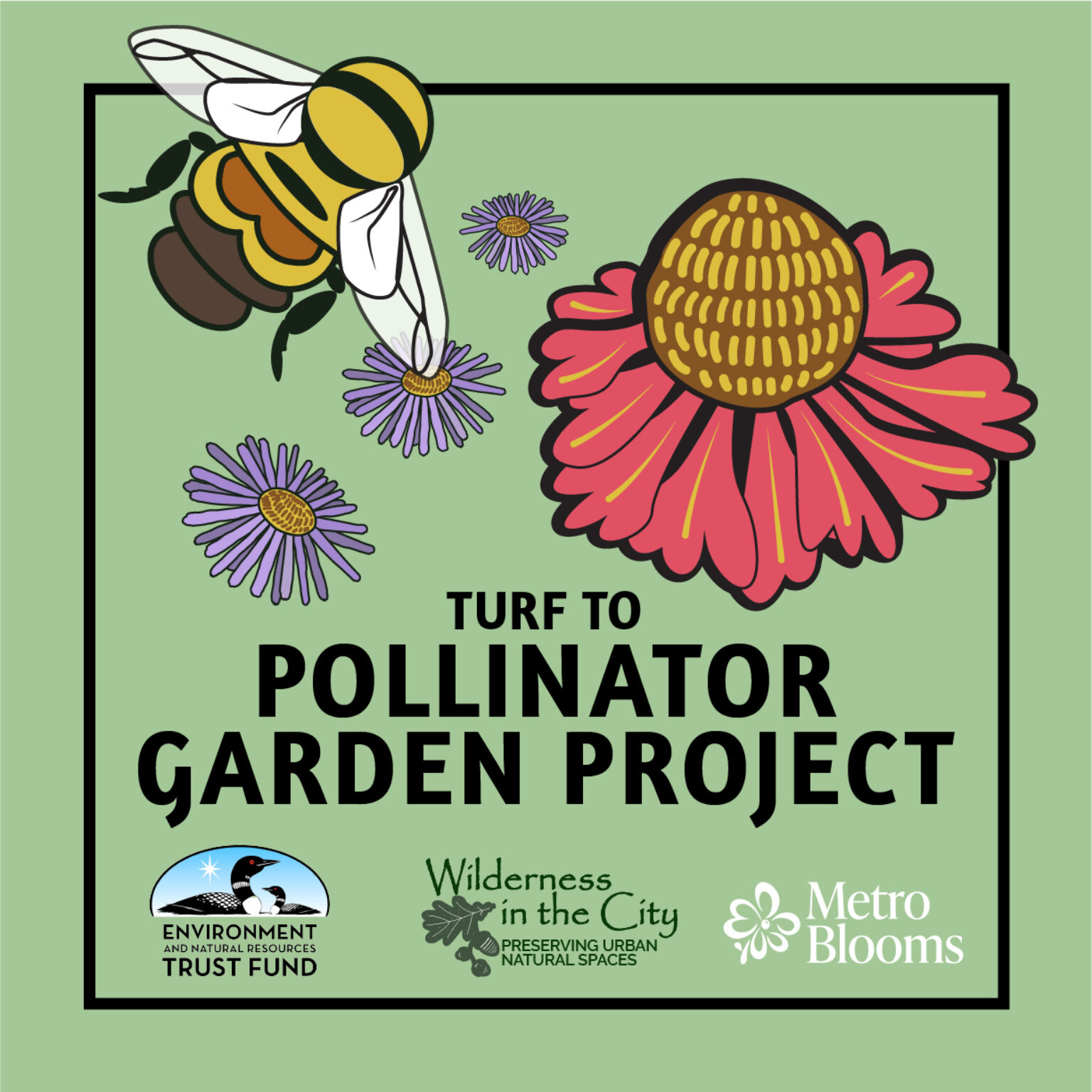 Turf to Pollinator Gardens Metro Blooms