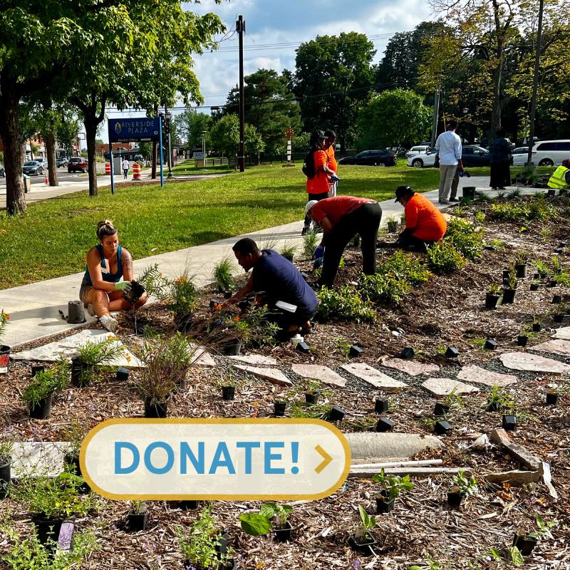 Give to Metro Blooms