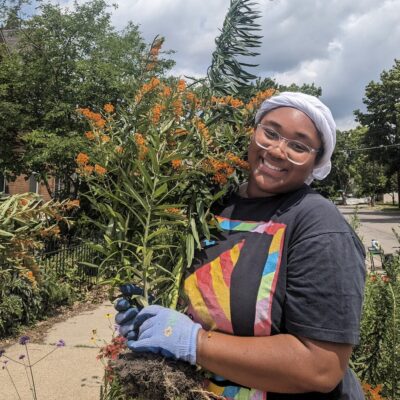 A happy person wearing gardening gloves holding butterfly weed near garden