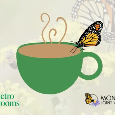 Graphic of green coffee cup steaming with butterfly perched on edge