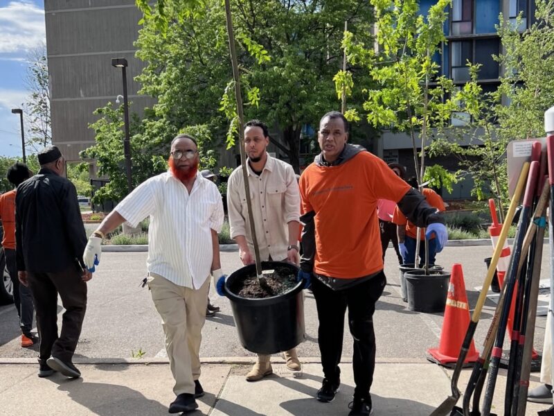 Three men carrying tree sapling in a large pot