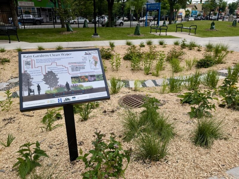 A sign in a young garden explains about rain gardens