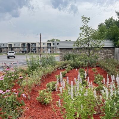 Large blooming garden next to parking lot