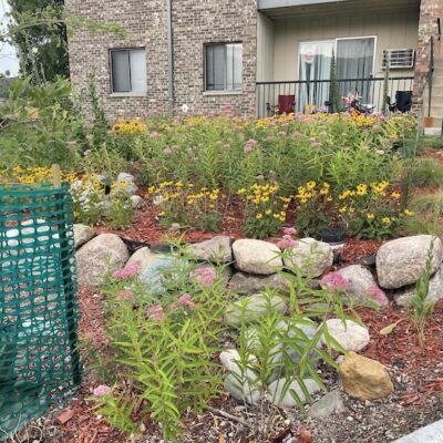 Blooming flower garden in front of apartment buiding