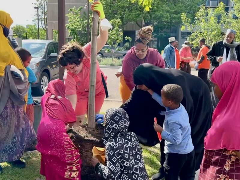 Several adults and youth planting a tree together