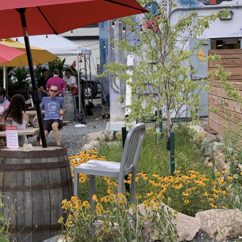 Outdoor area of eating establishment with a garden that has blooming yellow flowers and young trees