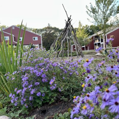 Flowering native plant garden with nature play area and rental complex in background