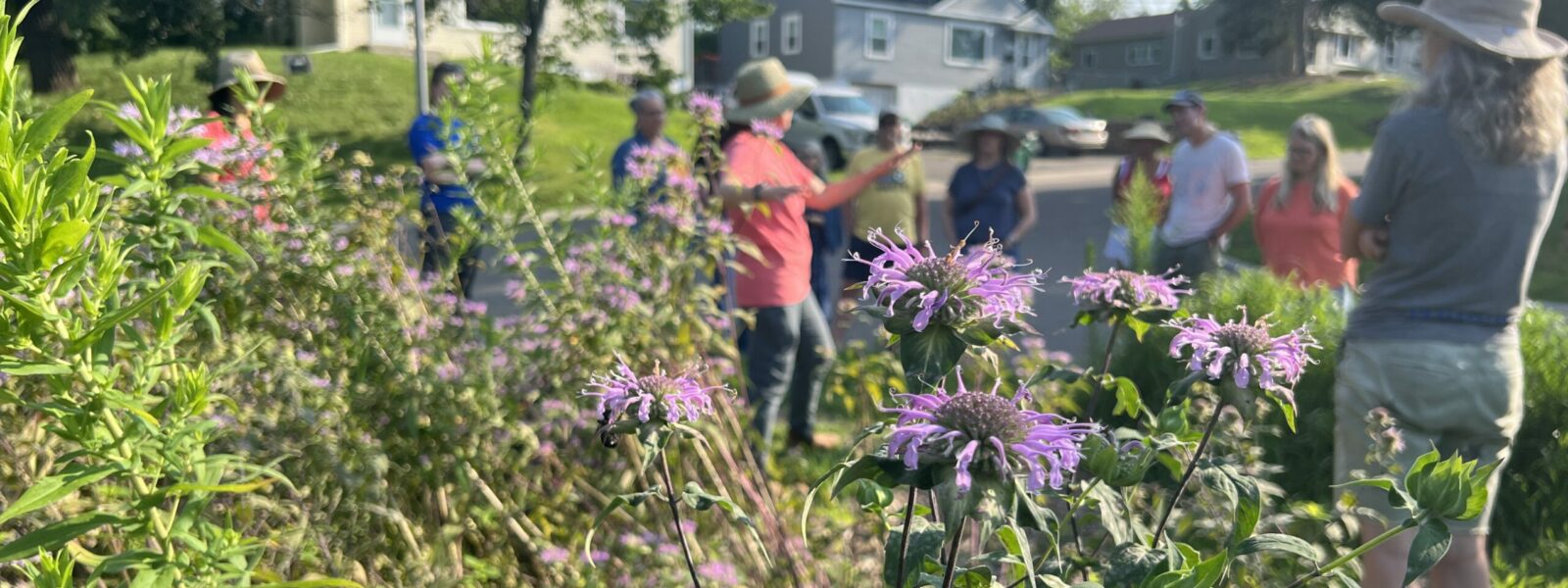 Foreground beautiful flower garden and background a person telling others about the garden