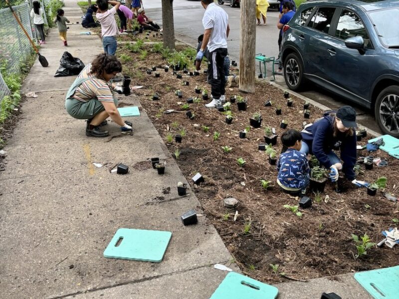 Mats for kneeling on sidewalks with people planting plants in a boulevard