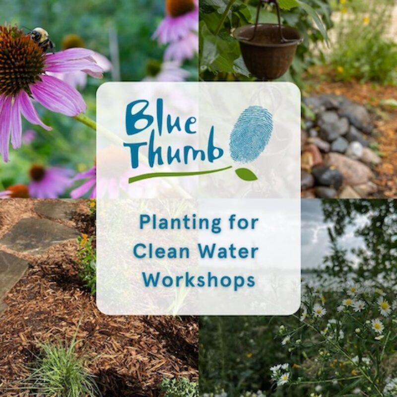 Collage of garden pictures with Blue Thumb logo and "Planting for Clean Water Workshops" in the middle