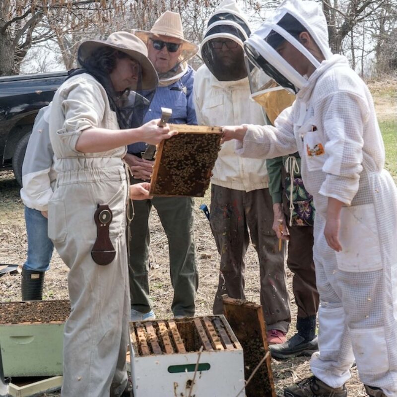 90-Minute Beekeeping Lesson for 4. Value: $200