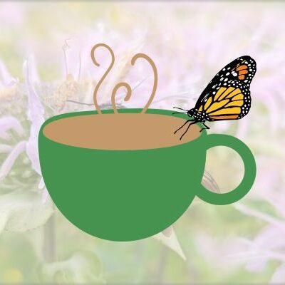 Graphic of monarch butterfly on teacup filled with warm liquid