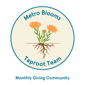 Taproot Team logo