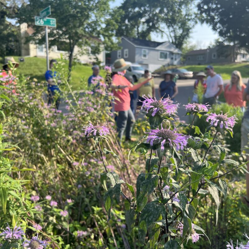 Collaborative Learning and Shared Knowledge