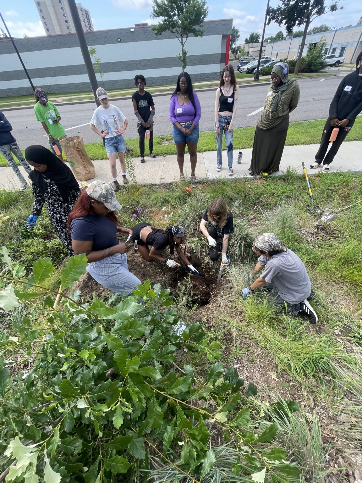 Strengthening Tree Canopy | Metro Blooms