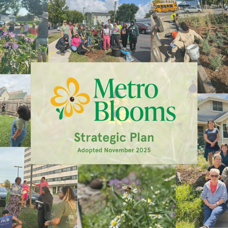 Metro Blooms Strategic Plan