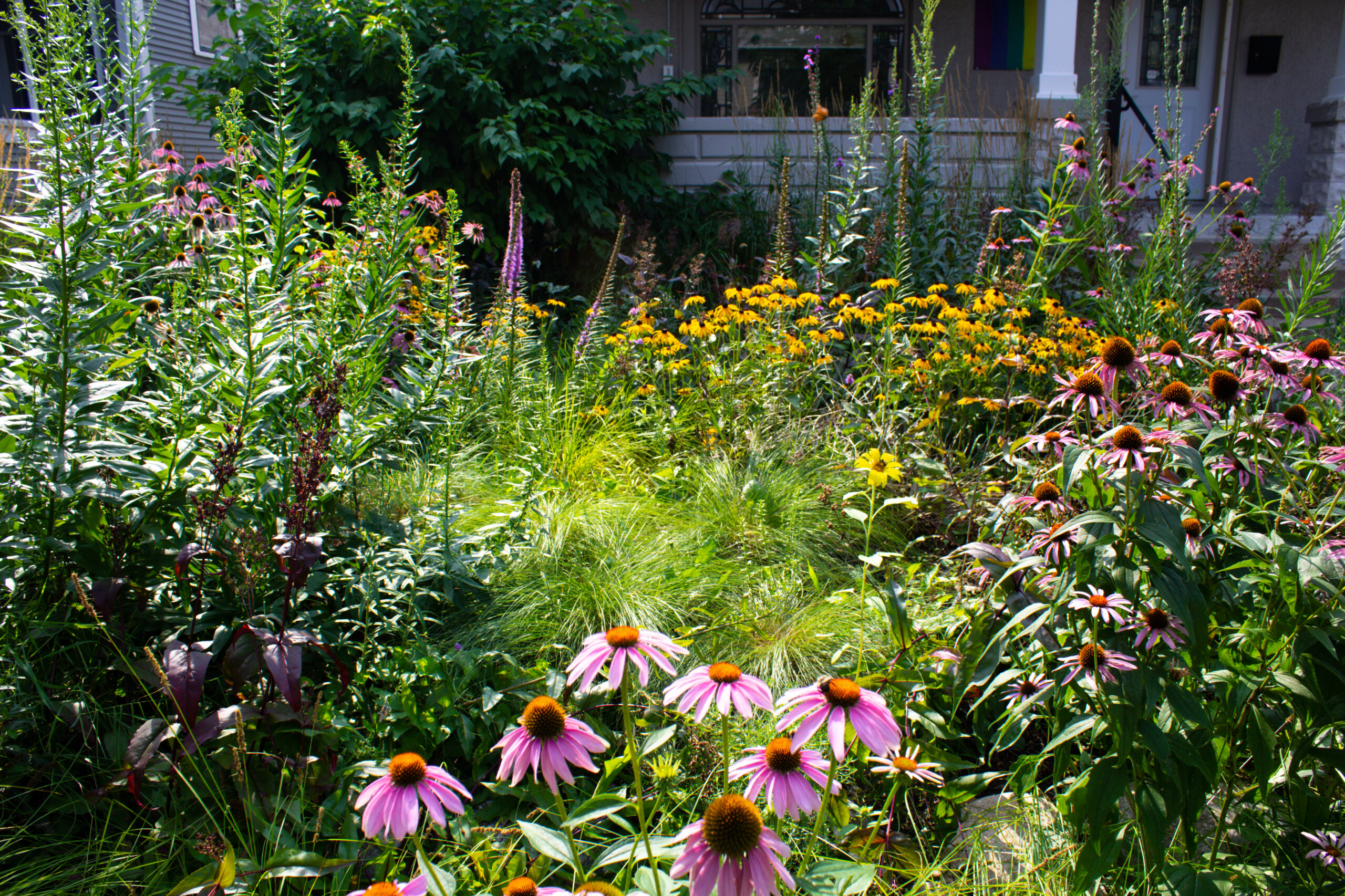 Low Maintenance Landscapes with Metro Blooms Design+Build | Metro Blooms