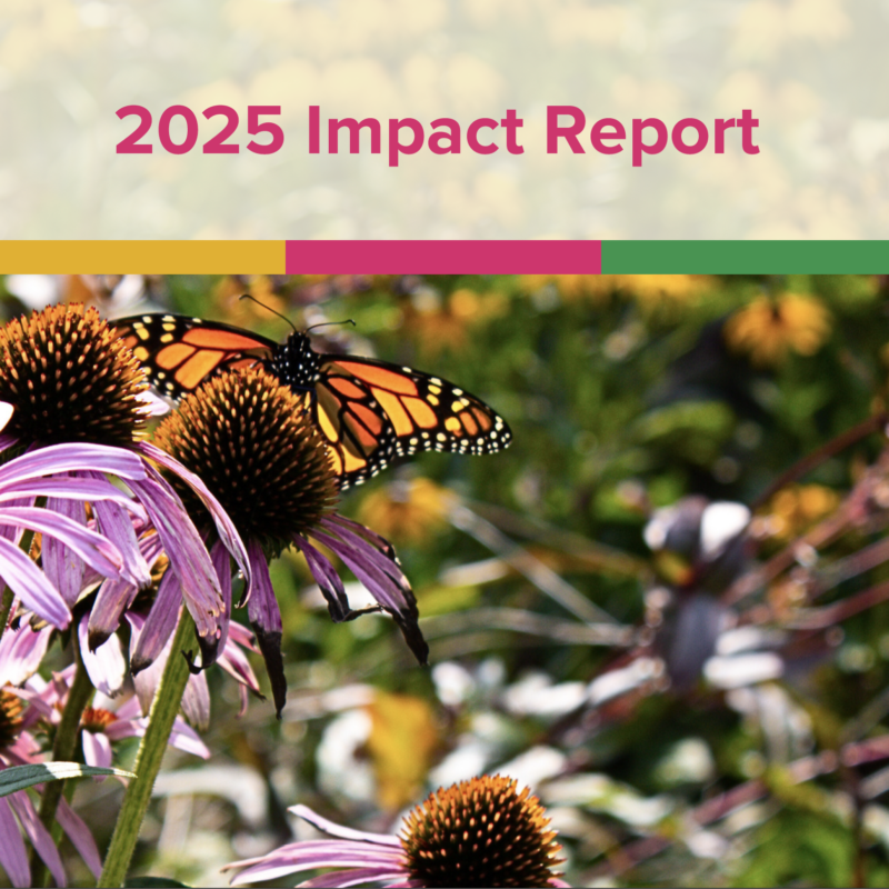 2025 Impact Report
